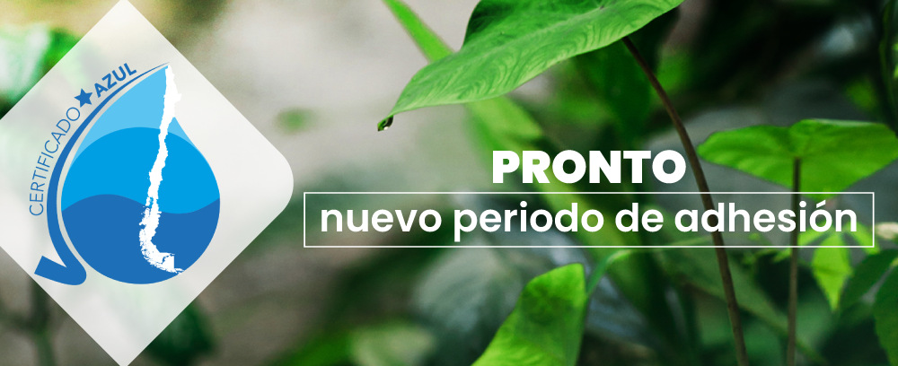 Certificado_azul_