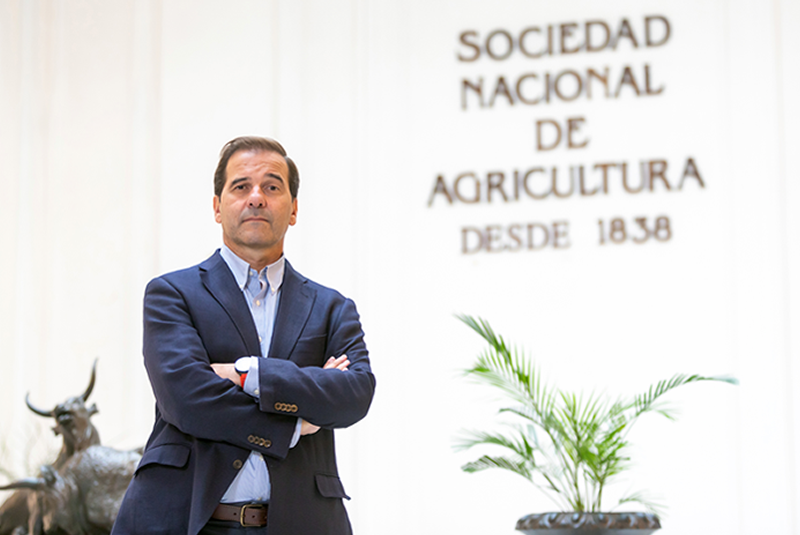 juan_pablo_matte juan_pablo_matte