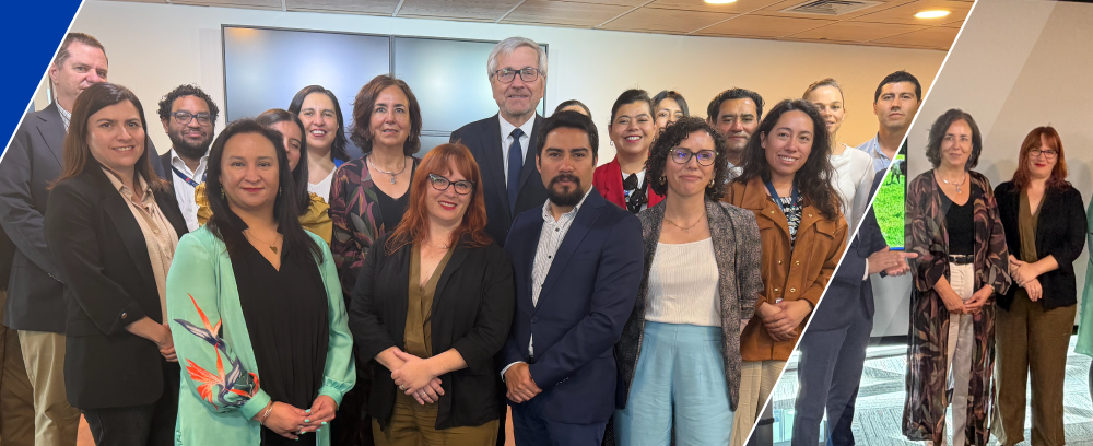 apl_lacteo_estandar apl_lacteo_estandar