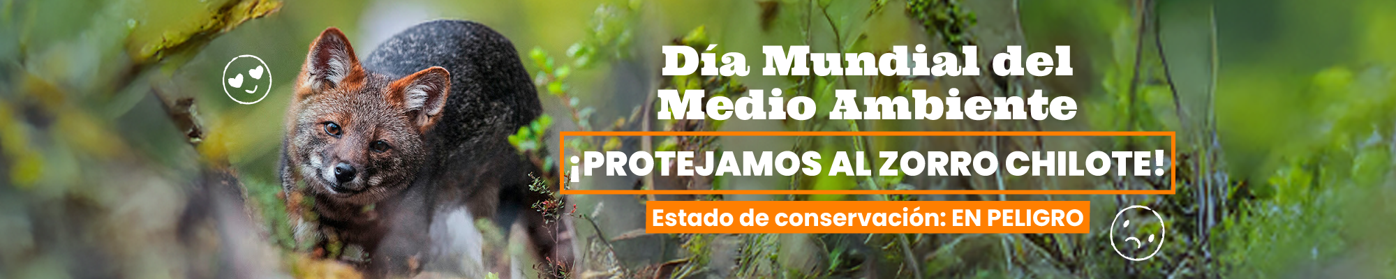 Medio_Ambiente